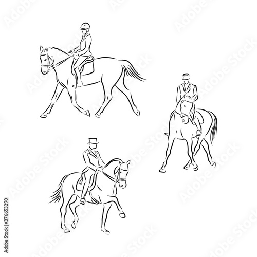 Illustration of Horse Riding. Hand drawn dressage horses vector sketch illustration