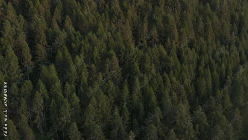 drone aerial view of mountain forest at late sunset in northern italy drone aerial view of mountain forest at late sunset in northern italy