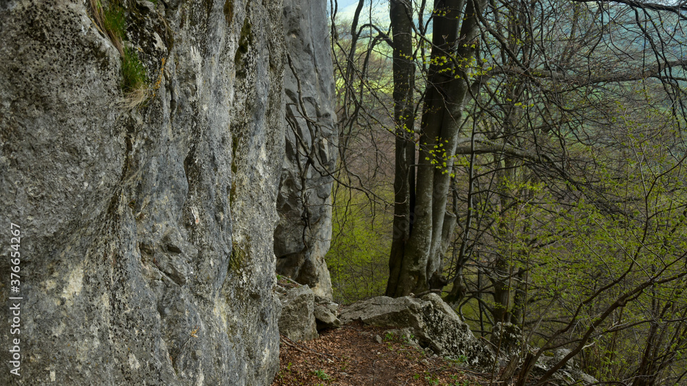 A footpath on a hiking route that passes along a vertical stonewall. Capatanii Mountains, Carpathia, Romania 
