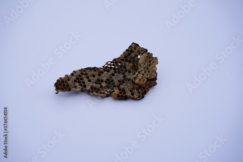 Dark brown honeycomb white background