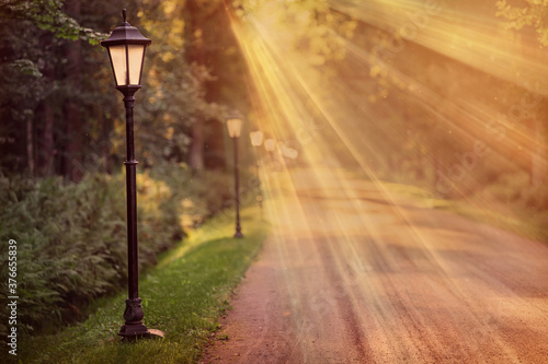 Leaving the distance path in the summer park flooded with the rays of the evening sun