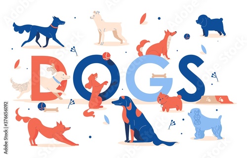 Vector puppies in different poses. Stretches, sits, stands, eats, asks for food. Concept pet love illustration in red, blue color with large lettering dogs
