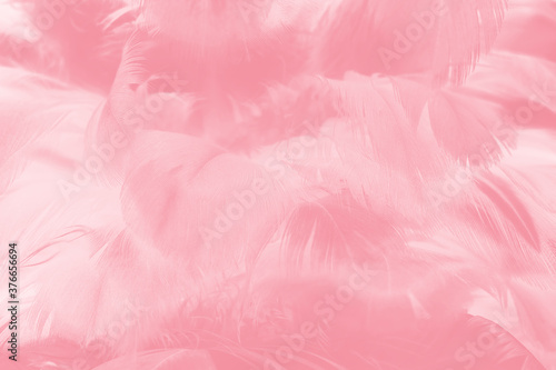 Beautiful light pink feather pattern texture background