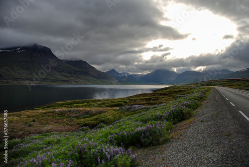 Iceland