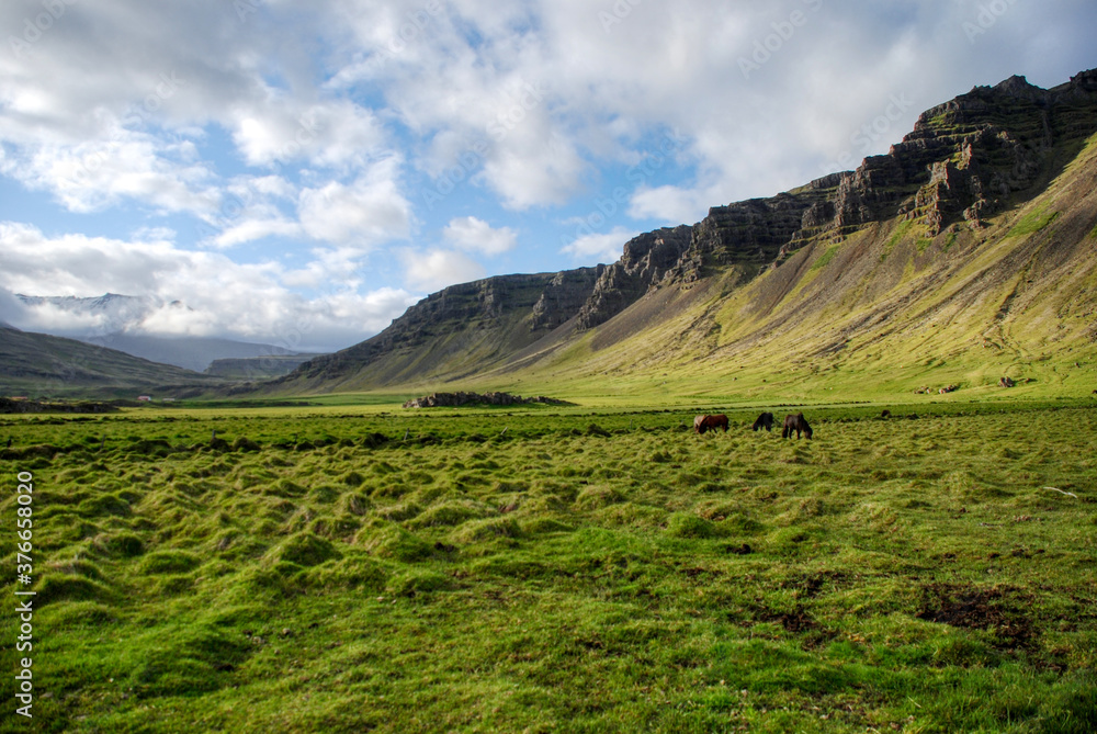 Naklejka premium Iceland