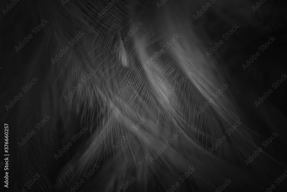 Naklejka premium Beautiful dark black feather pattern texture background