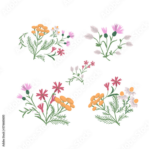Wild flowers set