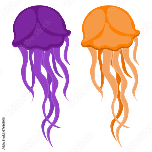 Set of vector jellyfish. Illustration on the theme of the inhabitants of the seas and oceans.