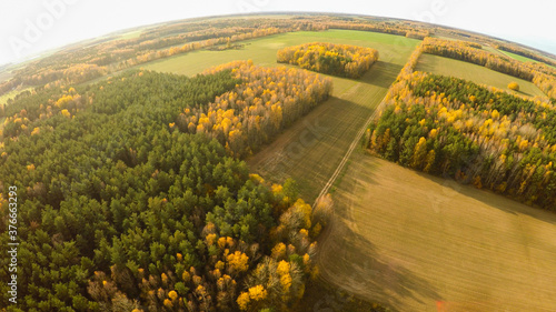 Aerial photography of the autumn forest and fields in Russia.
