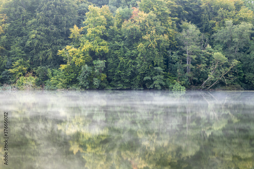 Misty September morning at lake Ukleisee with Green secretful romantic forest reflecting perfectely in water  in northern Germany  Holsteinische Schweiz  Schleswig-Holstein Ukleisee