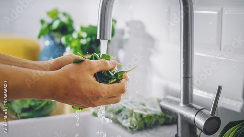 Close Up Shot of a Man Washing Green Spinach Leaves with Tap Water. Authentic Stylish Kitchen with Healthy Vegetables. Natural Clean Products from Organic Farming Washed by Hand.