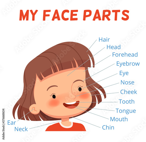 Child learning poster. Parts of the girl's face with signed names. Examining body parts