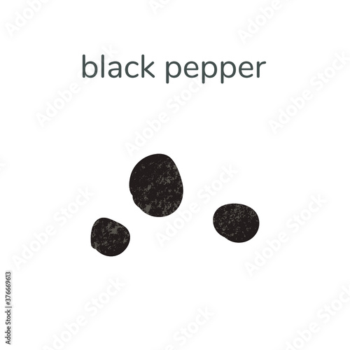 Vector illustration of dry black pepper seed spice isotated on white background. Hand drawn illustration with textures.