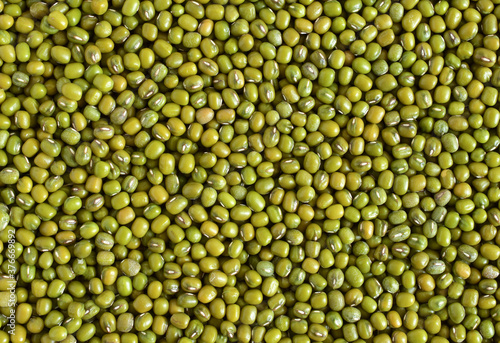 Mung bean seed or Green beans background , background pattern,Top view.