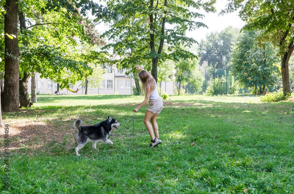 Obraz premium young beautiful girl runs with a husky in the park. The blonde plays with the dog.