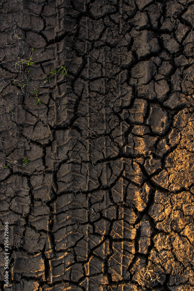 the track of a car tire on dry ground, covered with many cracks, in the rays of the setting sun, gradient the track of a car tire on dry ground, covered with many cracks, in the rays of the setting sun, gradient