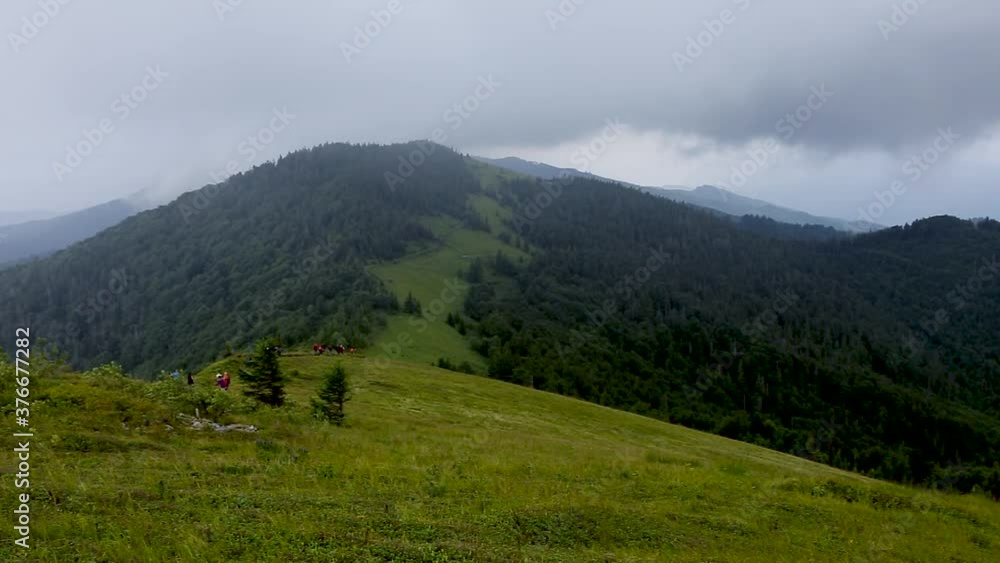 Carpathian mountains, Beskids region on a summer day with cloudy and foggy skies. Summer fogs in the Carpathian mountains Carpathian mountains, Beskids region on a summer day with cloudy and foggy skies. Summer fogs in the Carpathian mountains