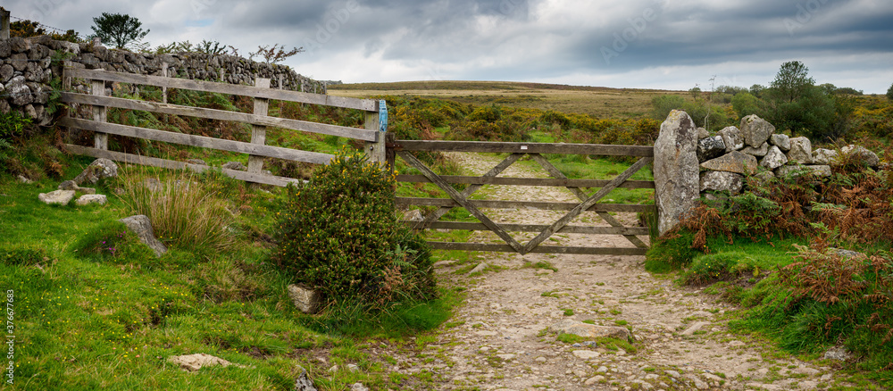 Fotografie Wooden gate and fence on a track in Dartmoor