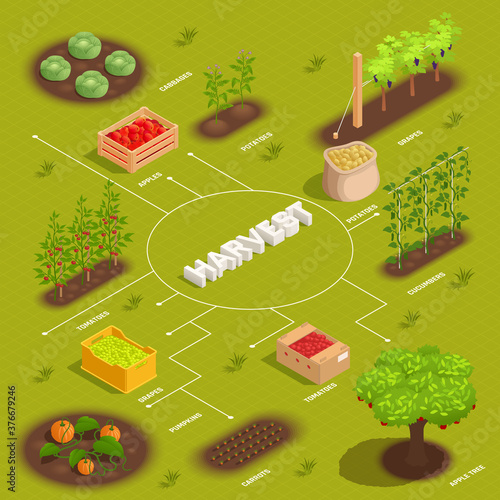 Farming Harvesting Flowchart