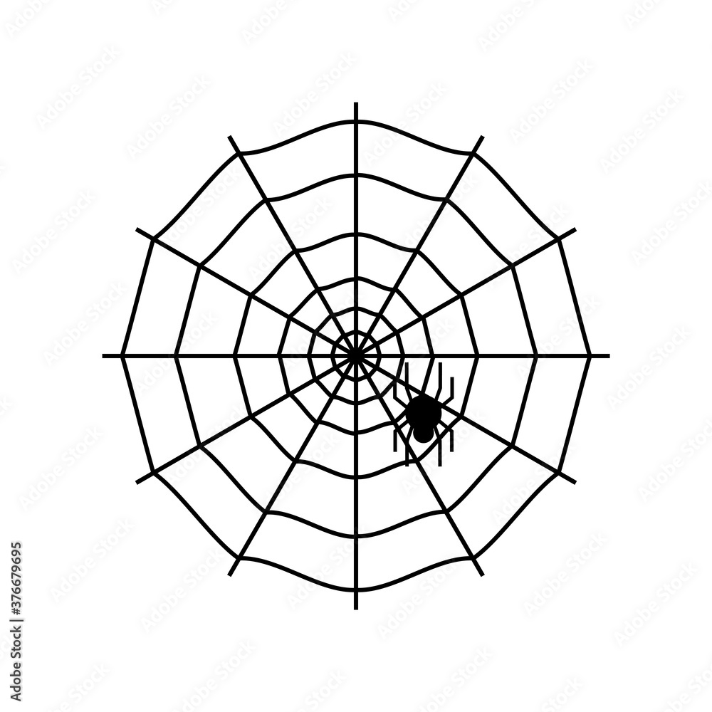 Obraz premium Spider web with spider