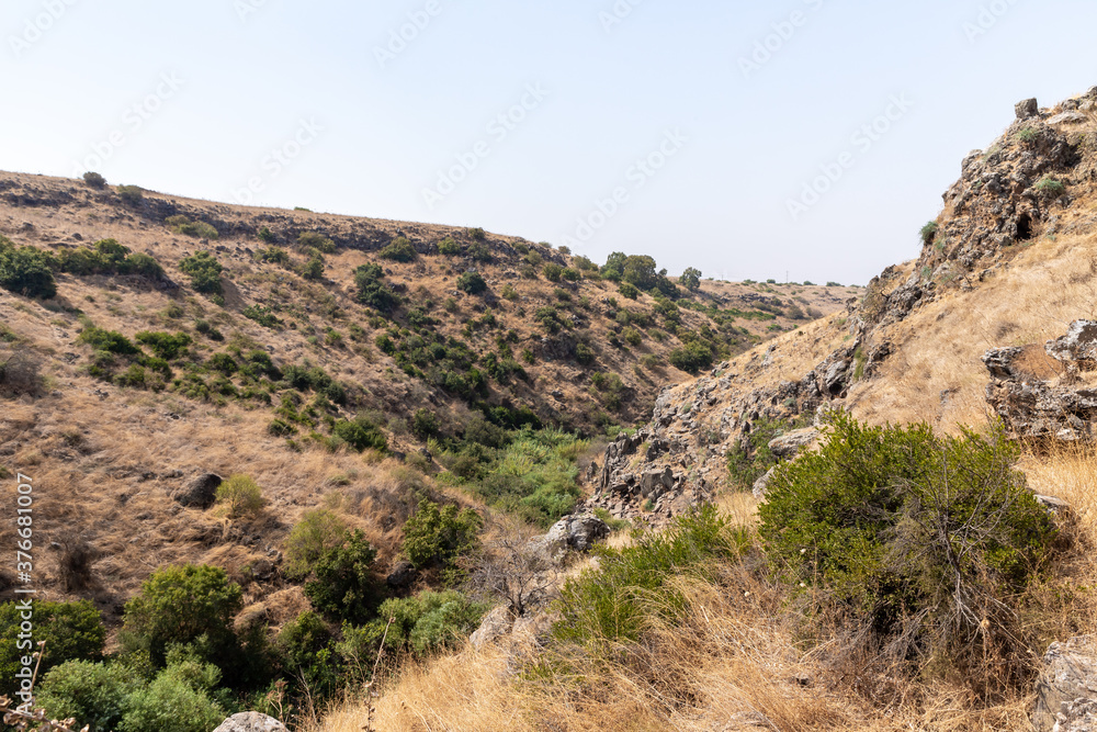 Hills  overgrown with dry grass and small trees in the Golan Heights in northern Israel