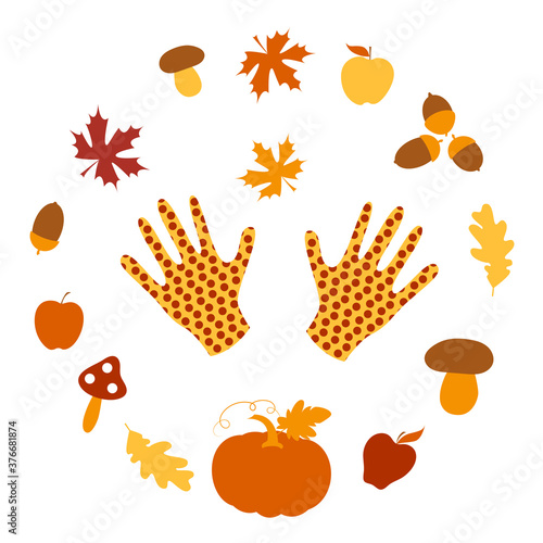 Gardening. Autumn set: latex gloves, pumpkin, apple, mushroom, acorn, maple and oak leaf. Harvest festival. Flat design. Isolated elements on a white background. Vector illustration.