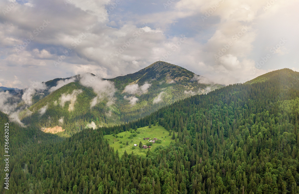 Obraz premium Aerial view of green Carpathian mountains covered with evergreen spruce pine foreston summer sunny day.