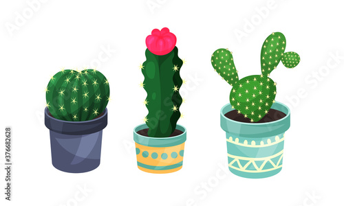 House Plants Growing in Ceramic Flowerpots Vector Set