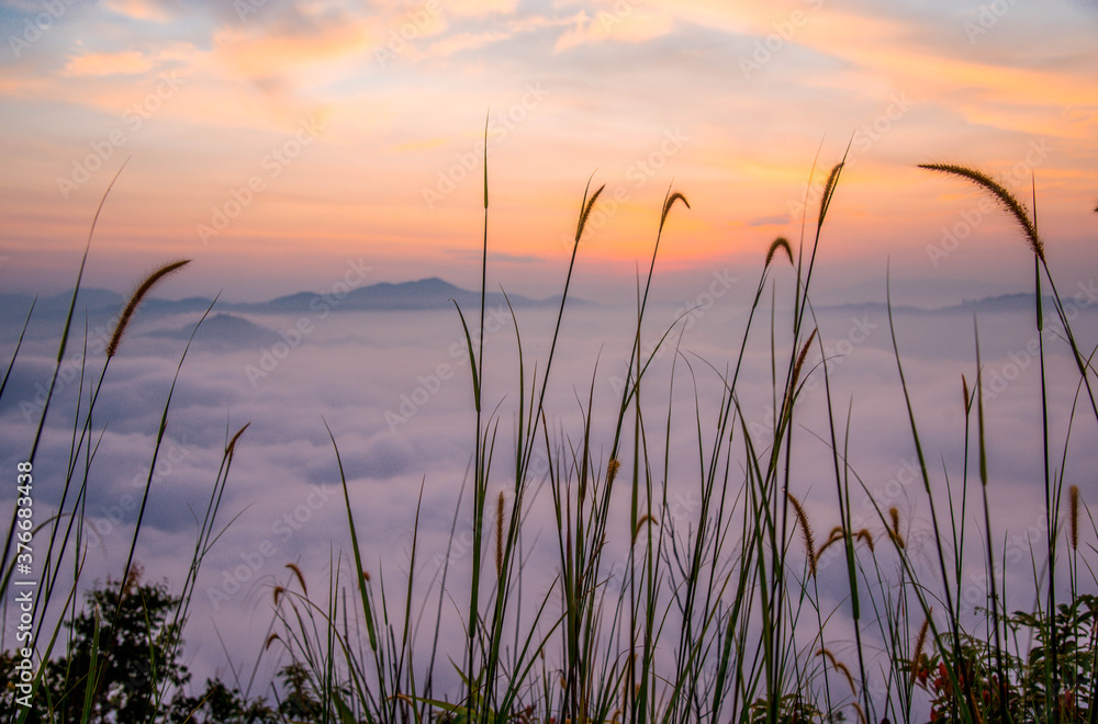 Morning scenery, sunrise time, in the middle of the sea of ​​mist at Ayer Weng Viewpoint, Betong District, Yala Province, Thailand