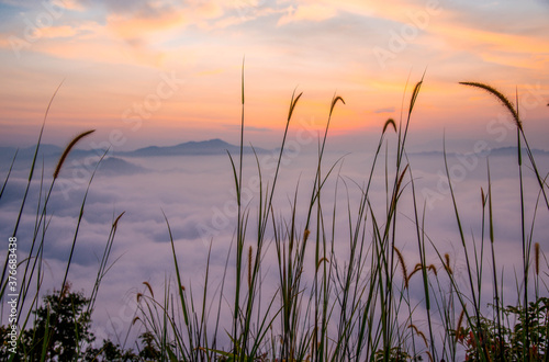 Morning scenery  sunrise time  in the middle of the sea of       mist at Ayer Weng Viewpoint  Betong District  Yala Province  Thailand