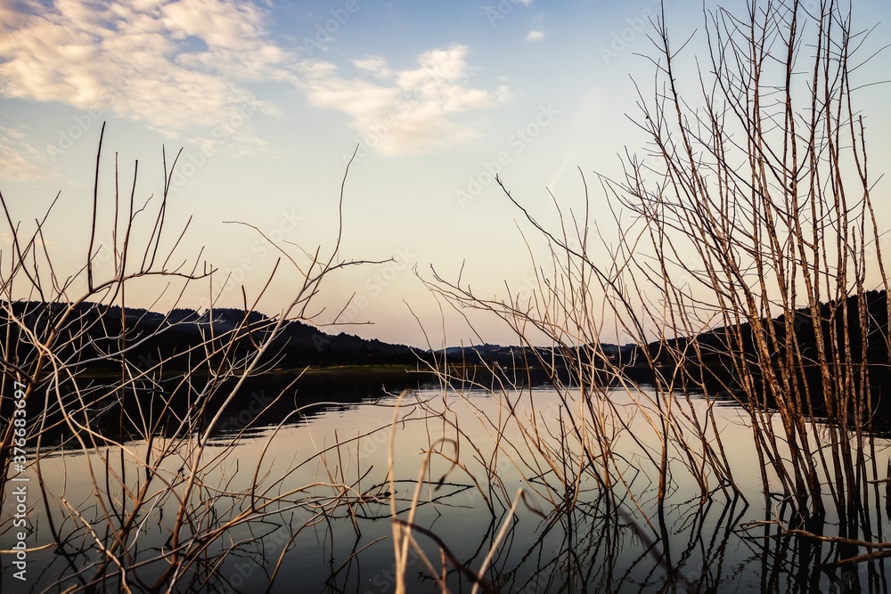 Fototapeta premium Beautiful evening on the lake Mucharz. Jezioro Mucharskie, Poland. Dry branches on a water background
