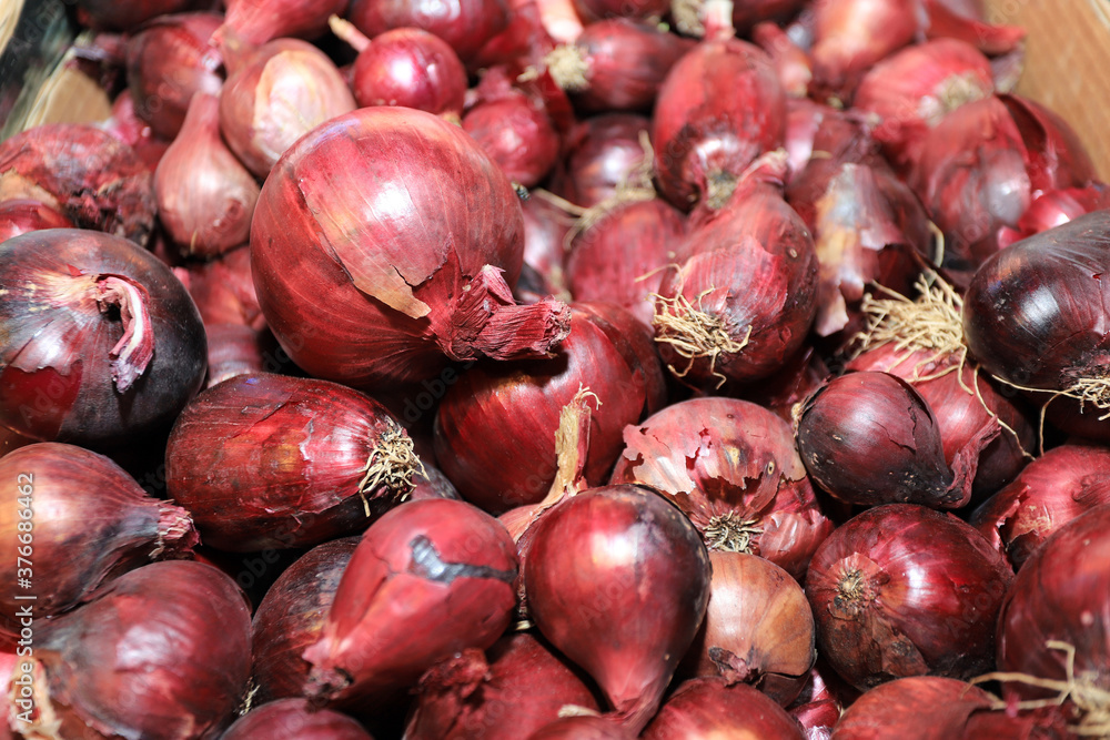 Red onions, full frame photo. Red onion pattern