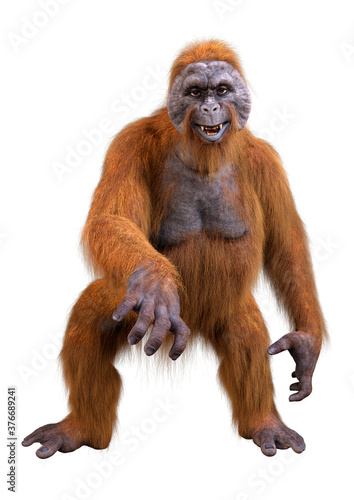 3D Rendering Orangutan on White © photosvac