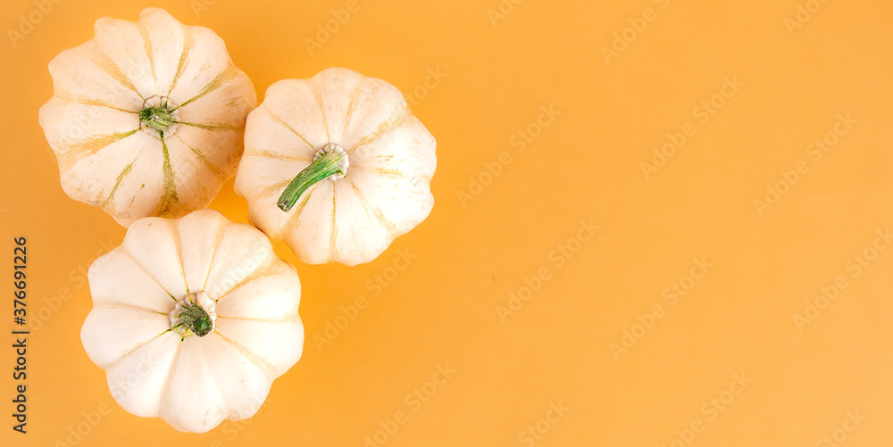 Naklejka premium White pumpkin on an orange background with space for text. Creative layout, top view. Autumn festive template.