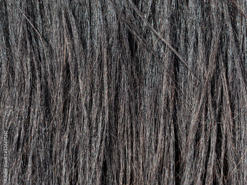 Detailed horse tail. Rear of mare, with close-up of braid on the long dark  tail photo