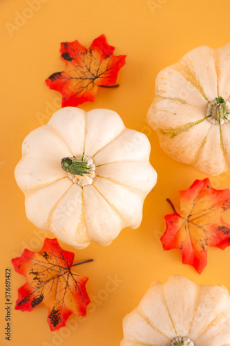 Autumn still life with three white pumpkins and bright maple leaves on a pastel orange background. Copy space for text.Template for your design, invitation, greeting card.