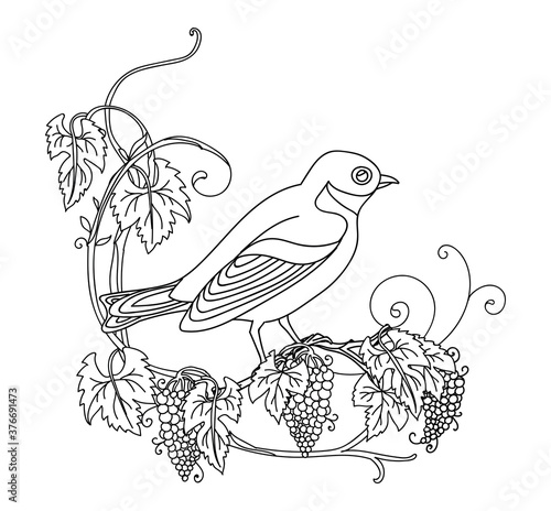 Decorative vector illustration little bird with grape