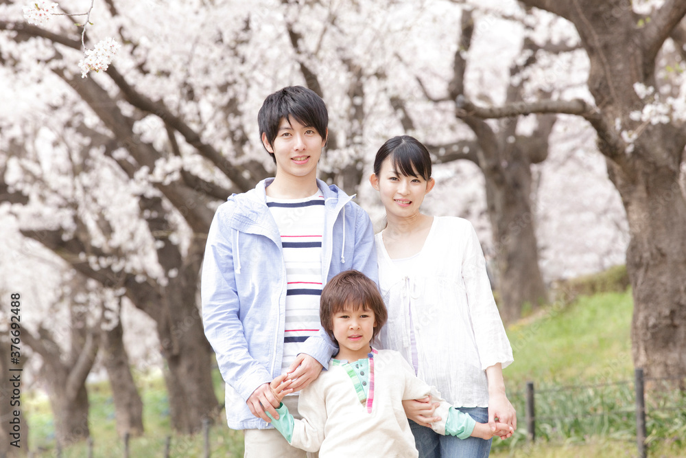 Fototapeta premium 桜と親子ポートレート