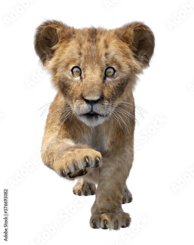 3D illustration of lion cub