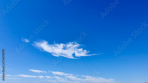 Blue sky with clouds, flying birds and green branches. The cloud in the saw fish shapes.
