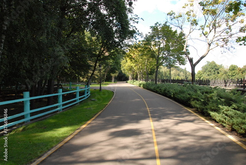 road in the park