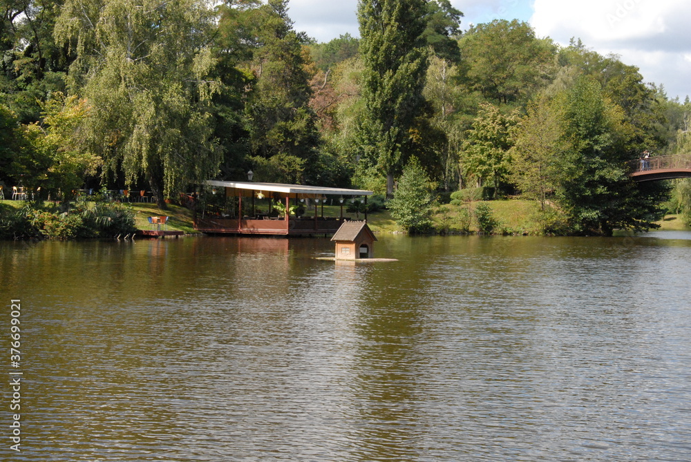 Fototapeta premium lake in the park