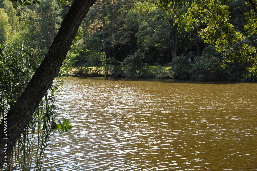 lake in the park lake in the park