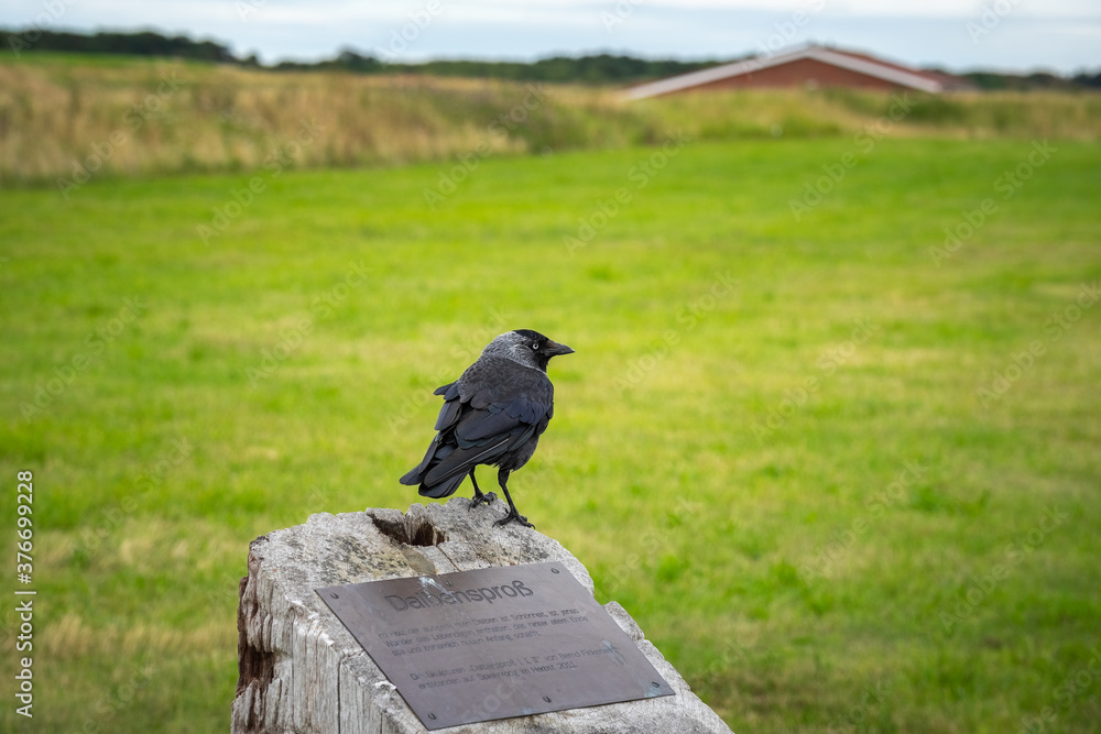 Obraz premium Tagesausflug nach Spiekeroog