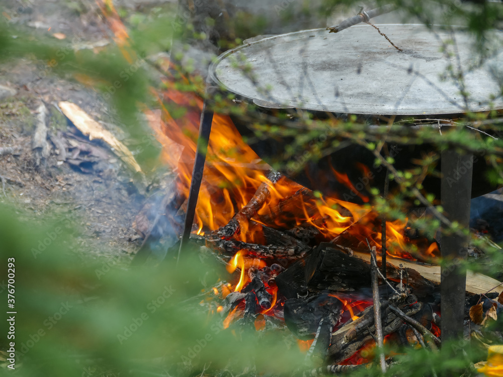 cauldron on a fire with flames and branches in the foreground