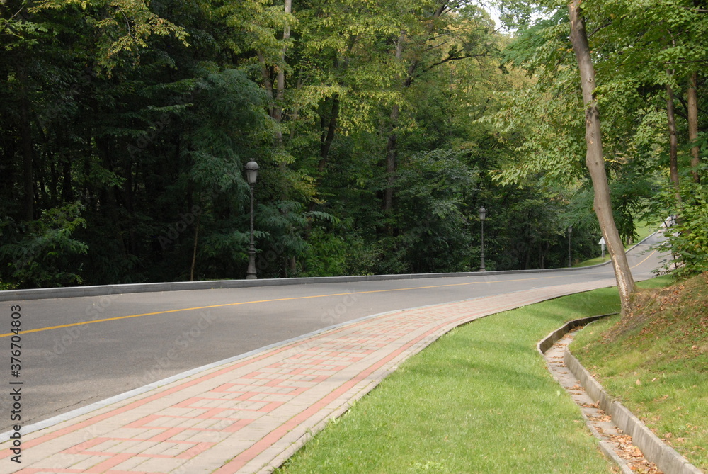 custom made wallpaper toronto digitalroad in the woods