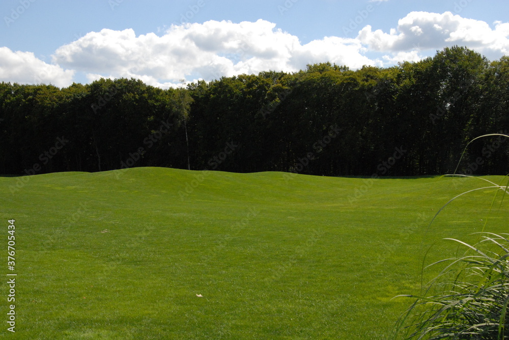 golf course on a sunny day