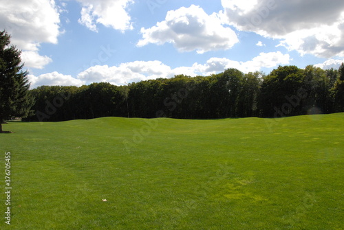 Fototapeta Naklejka Na Ścianę i Meble -  green grass and blue sky