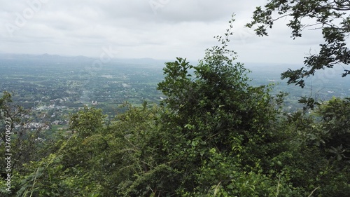 Podobny obraz