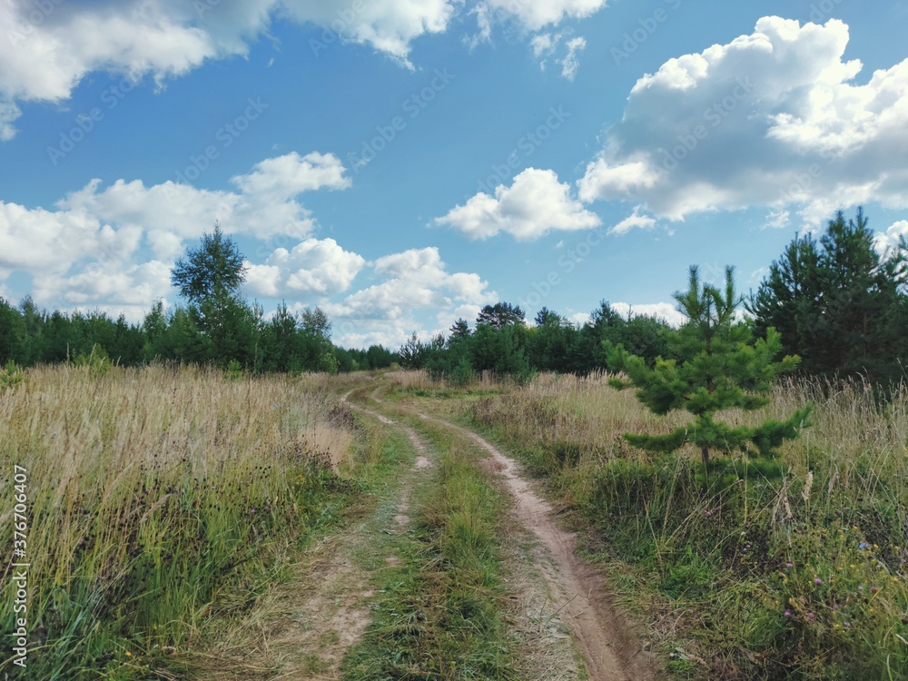 country winding road in a field against a blue sky with clouds on a sunny day